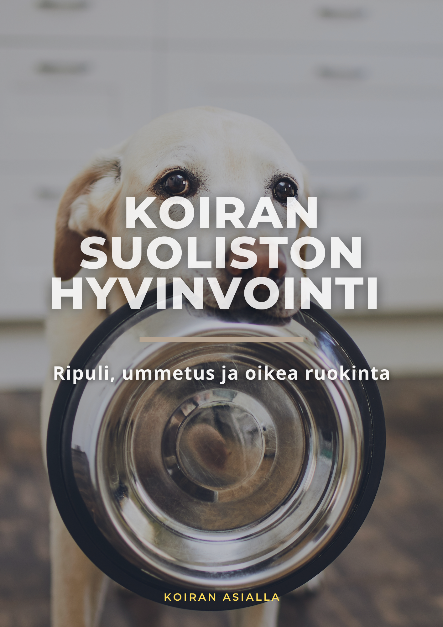Koiran suoliston hyvinvointi