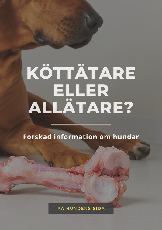 Köttätare eller allätare?