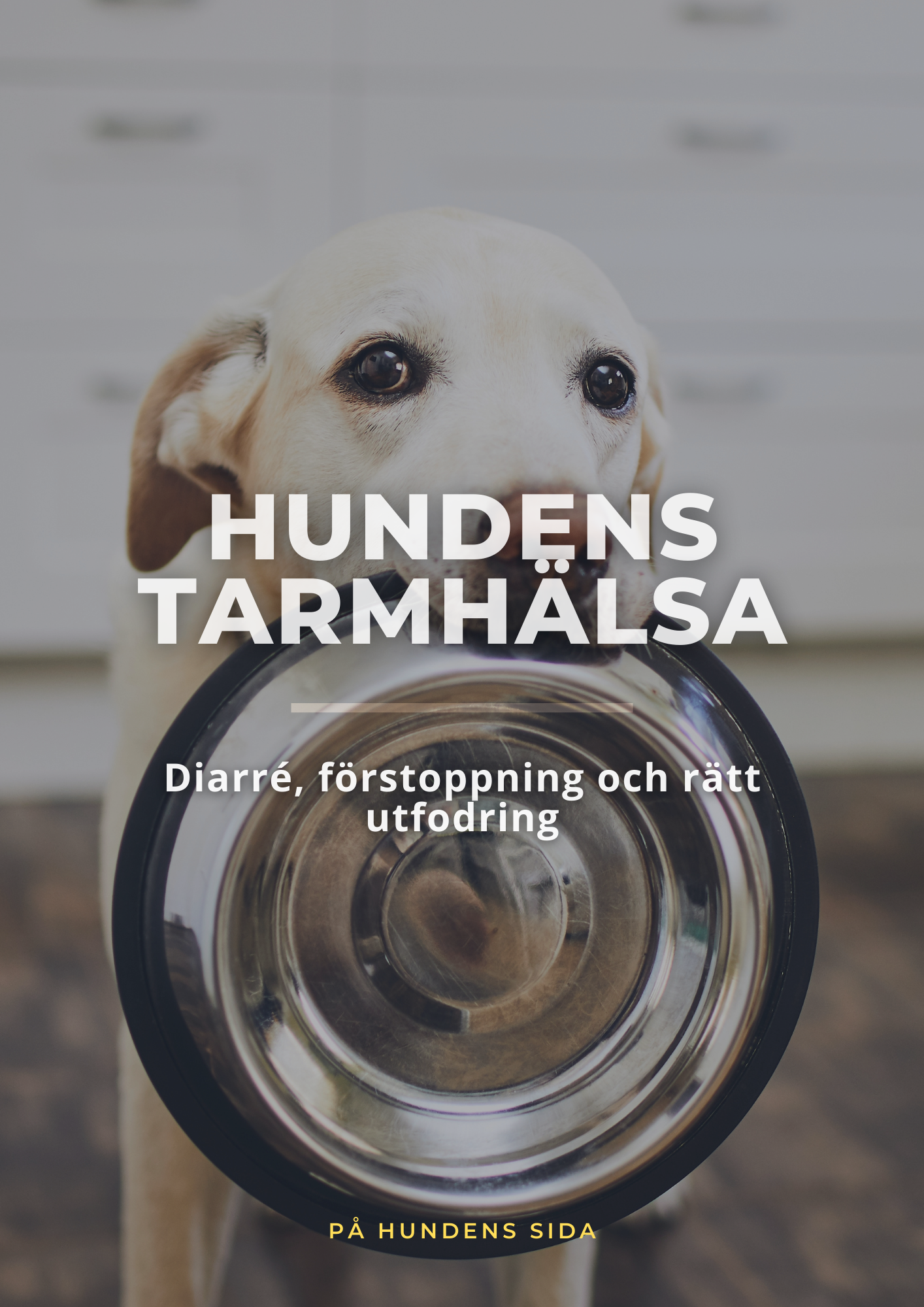 Hundens Tamhälsä