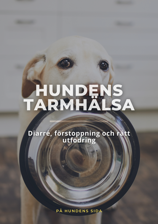 Hundens Tamhälsä