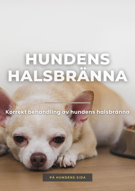 Hundens halsbränna