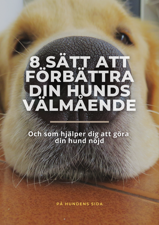 Hundens Välmående Guide