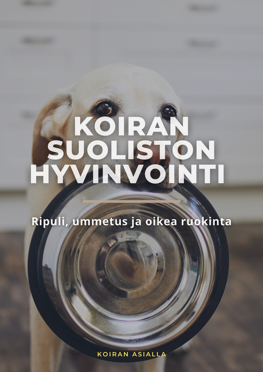 Koiran suoliston hyvinvointi