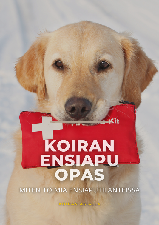 Koiran ensiapu opas