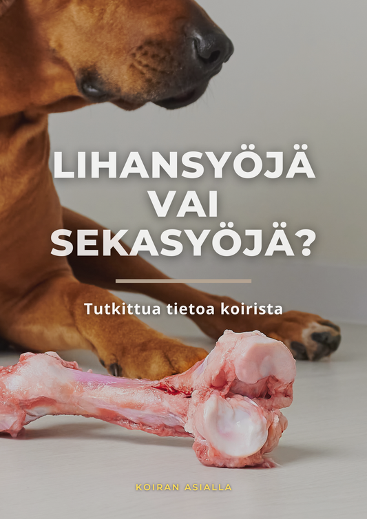 Lihansyöjä vai sekasyöjä? Tutkittua tietoa koirista