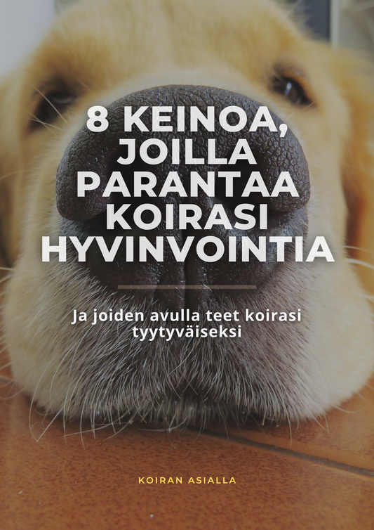 Koiran hyvinvointi opas